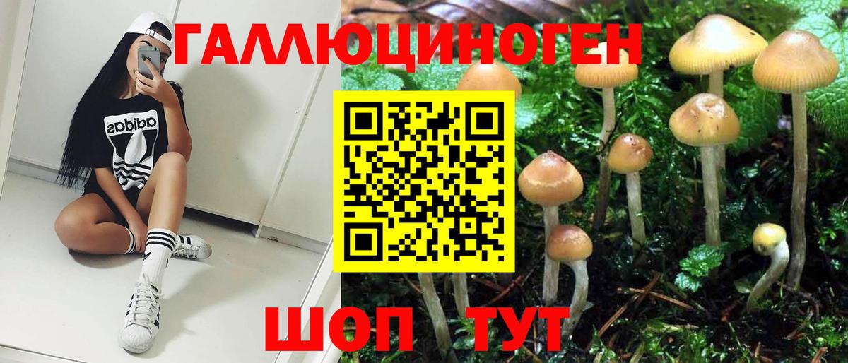 Печора  Псилоцибиновые грибы GOLDEN TEACHER  Вход с VPN 